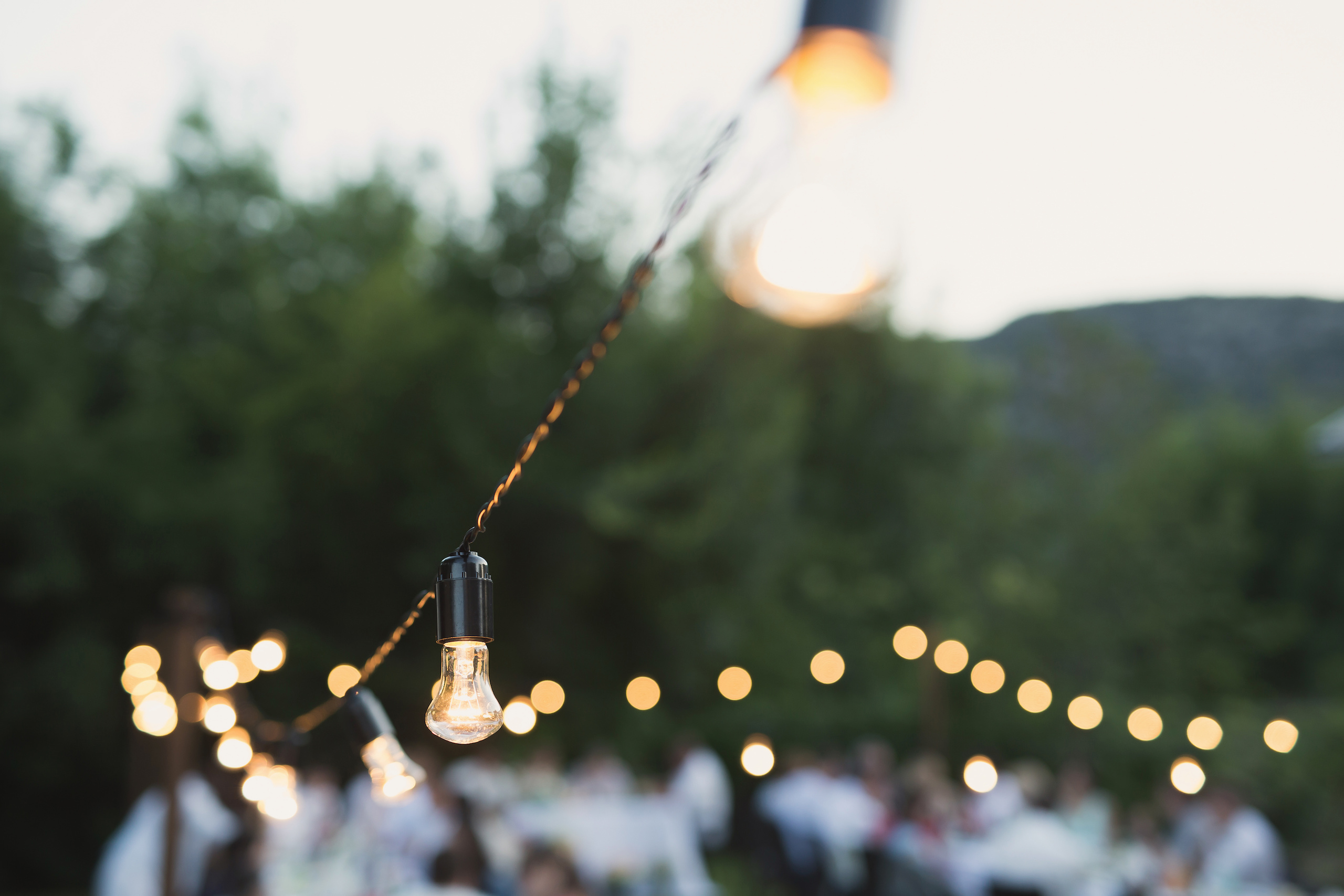 hanging lights